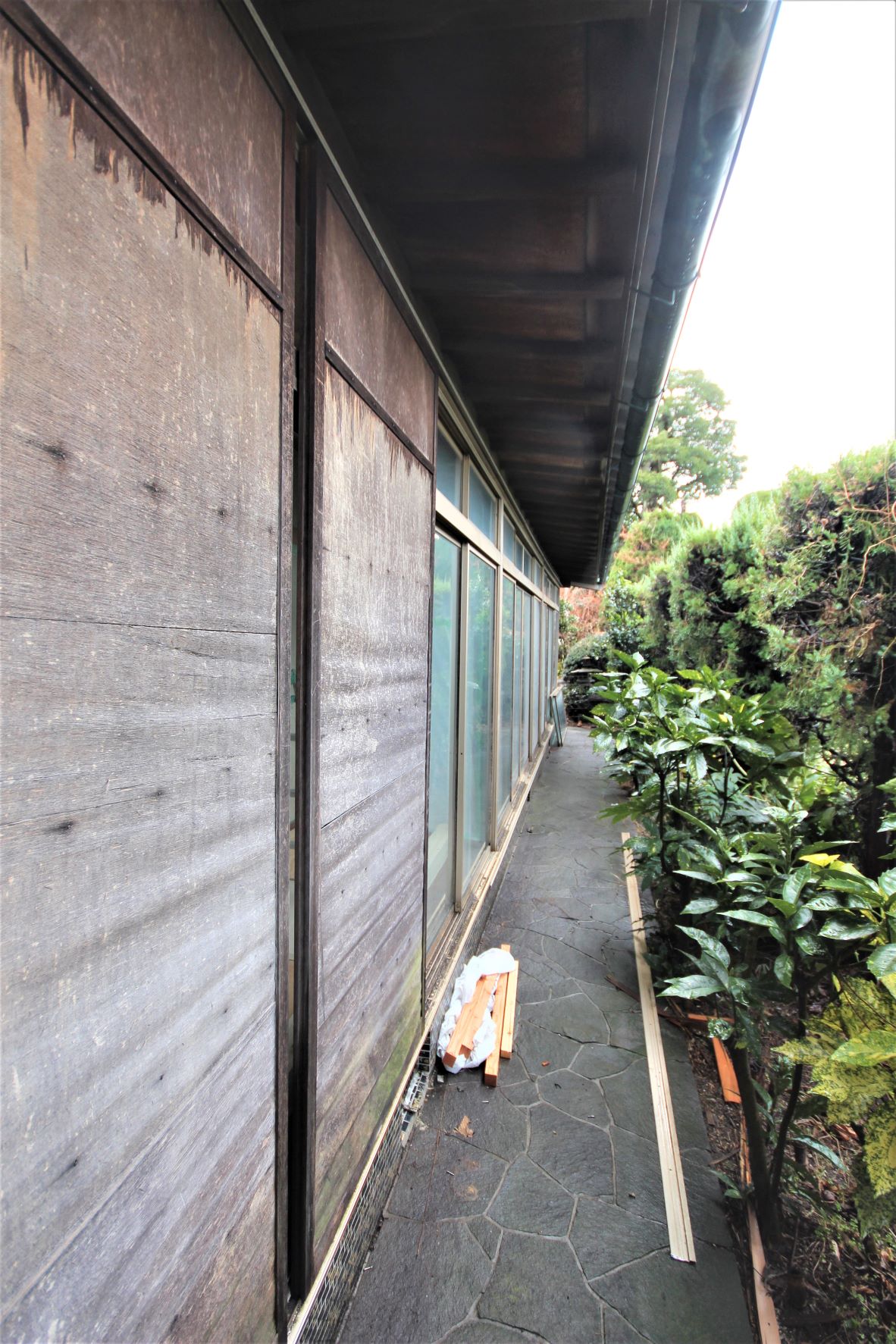 Before画像